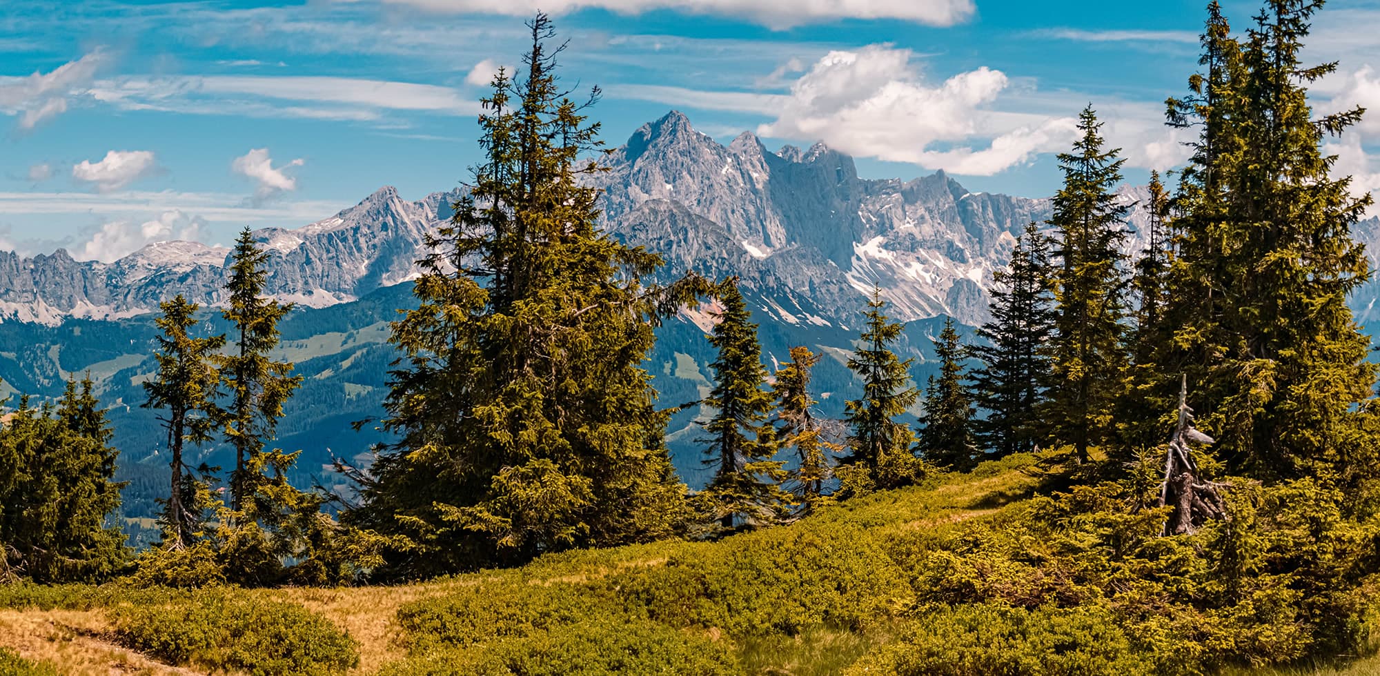 Jagdrevier vom Jagdhof mit Blick zur Bischofsmütze